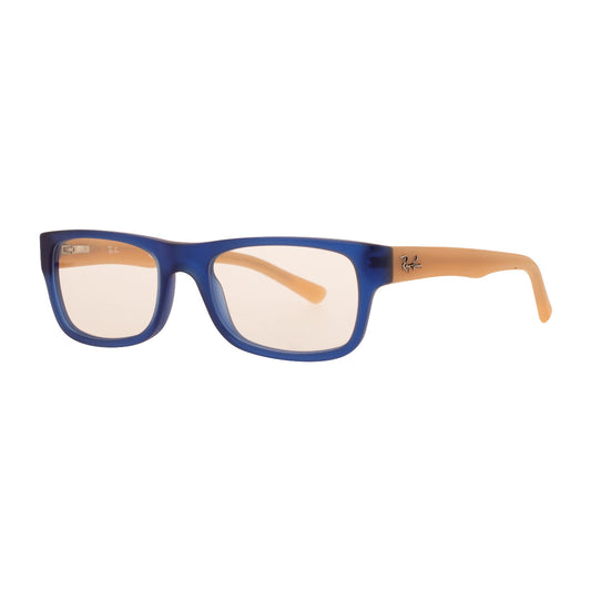 RAY-BAN FRAMES 5268 5554 48